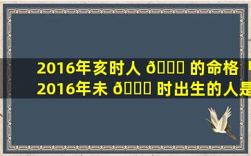 2016年亥时人 💐 的命格「2016年未 🐞 时出生的人是什么命」